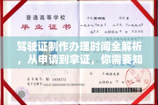海棠驾驶证制作办理时间全解析，从申请到拿证，你需要知道的一切